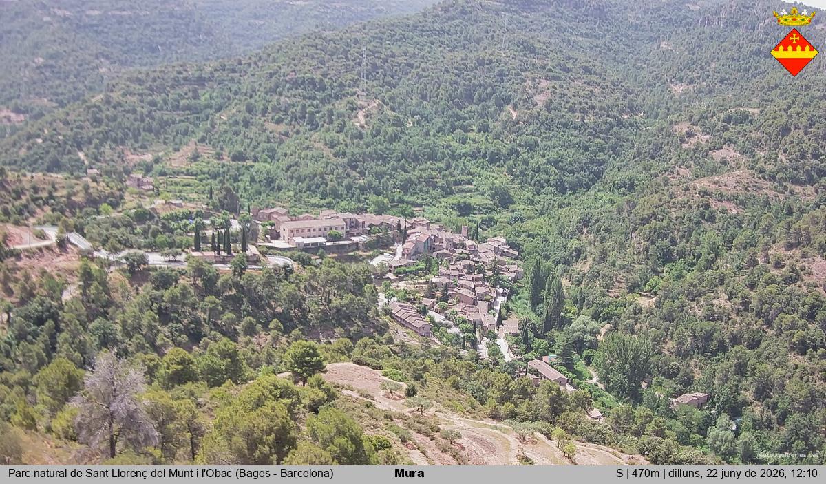 Mura 