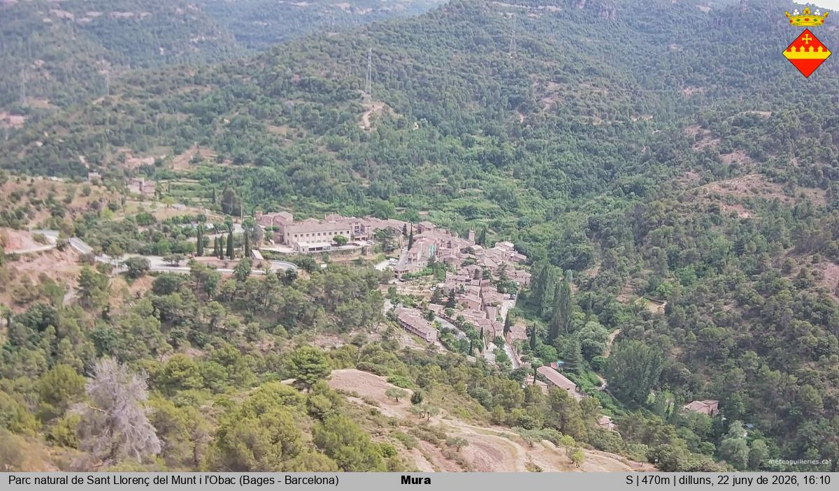 Mura 