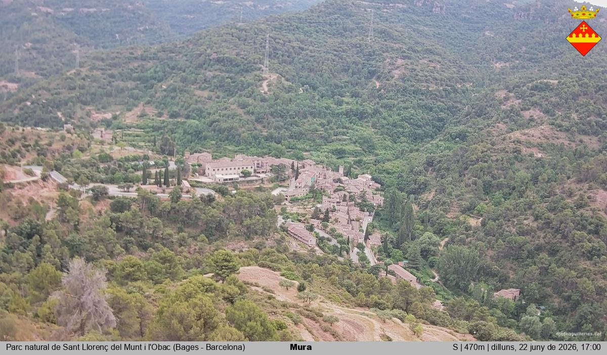 Mura 