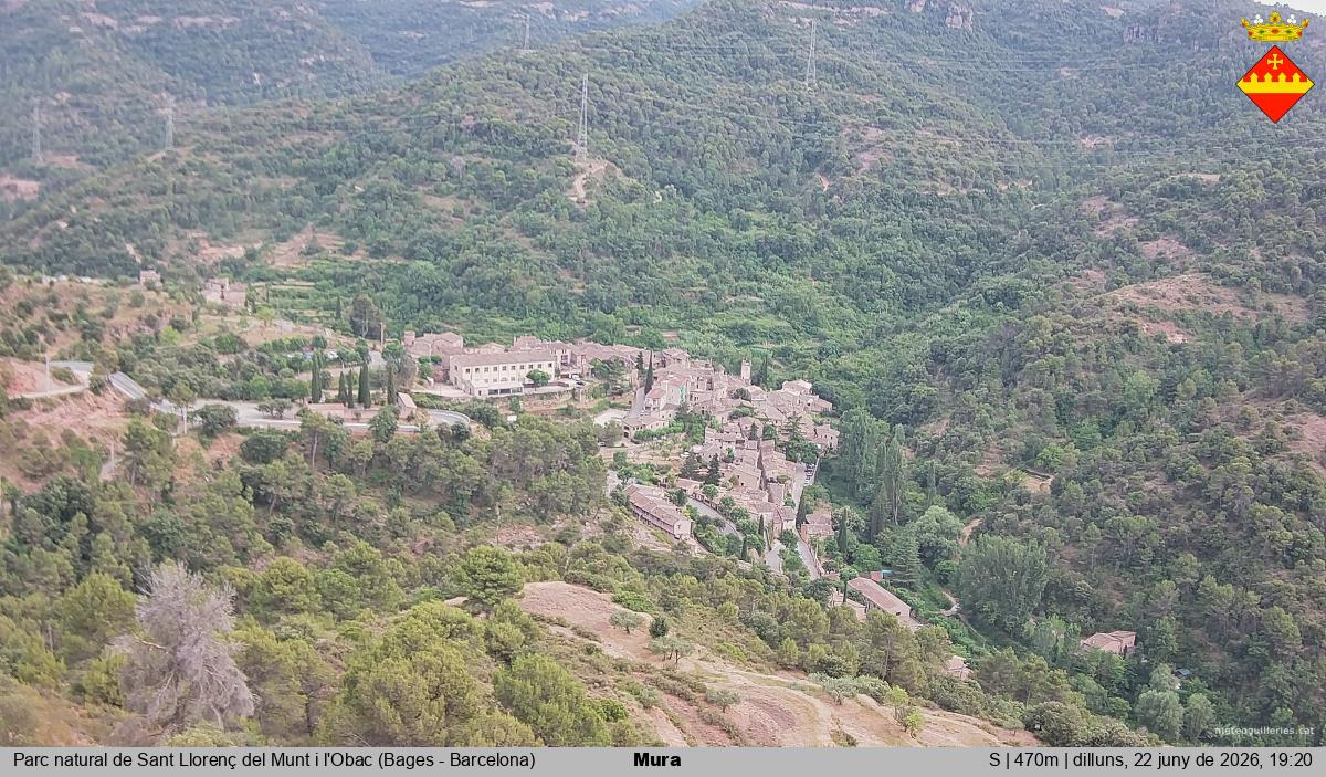 Mura 