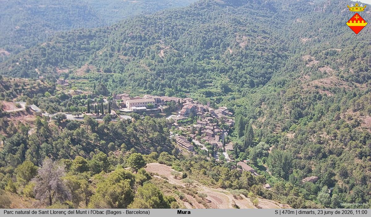 Mura 