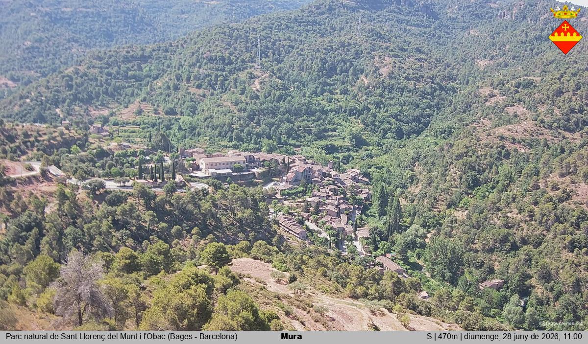 Mura 
