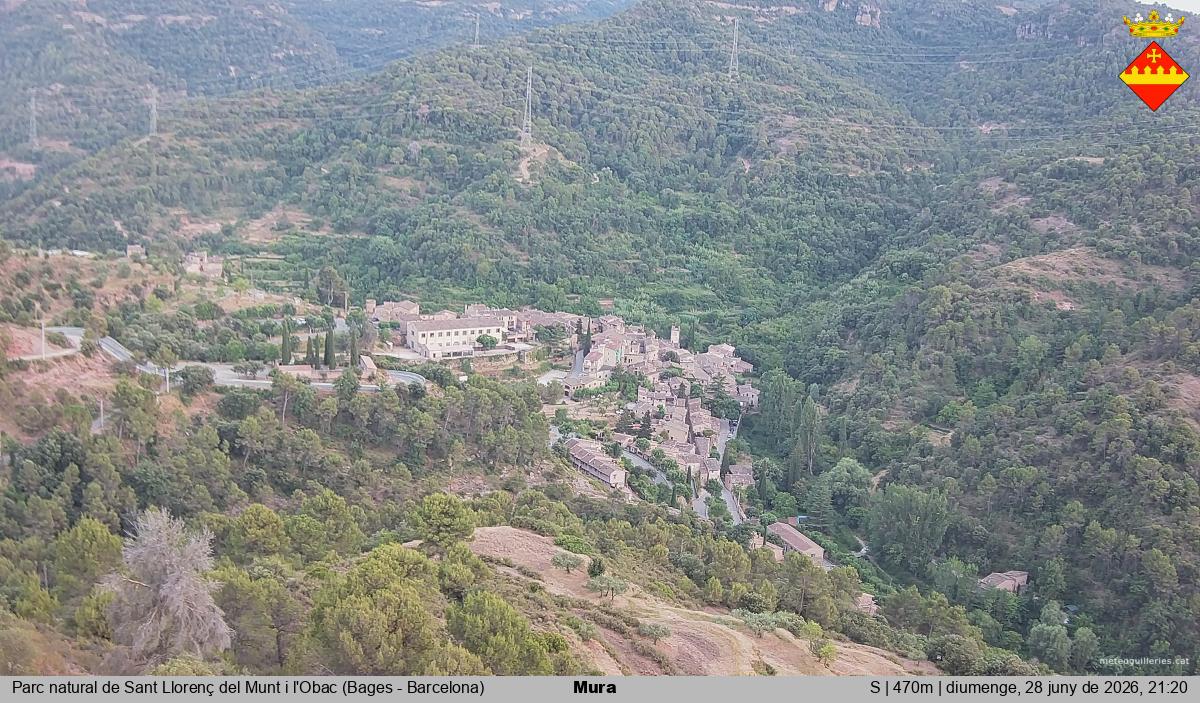 Mura 