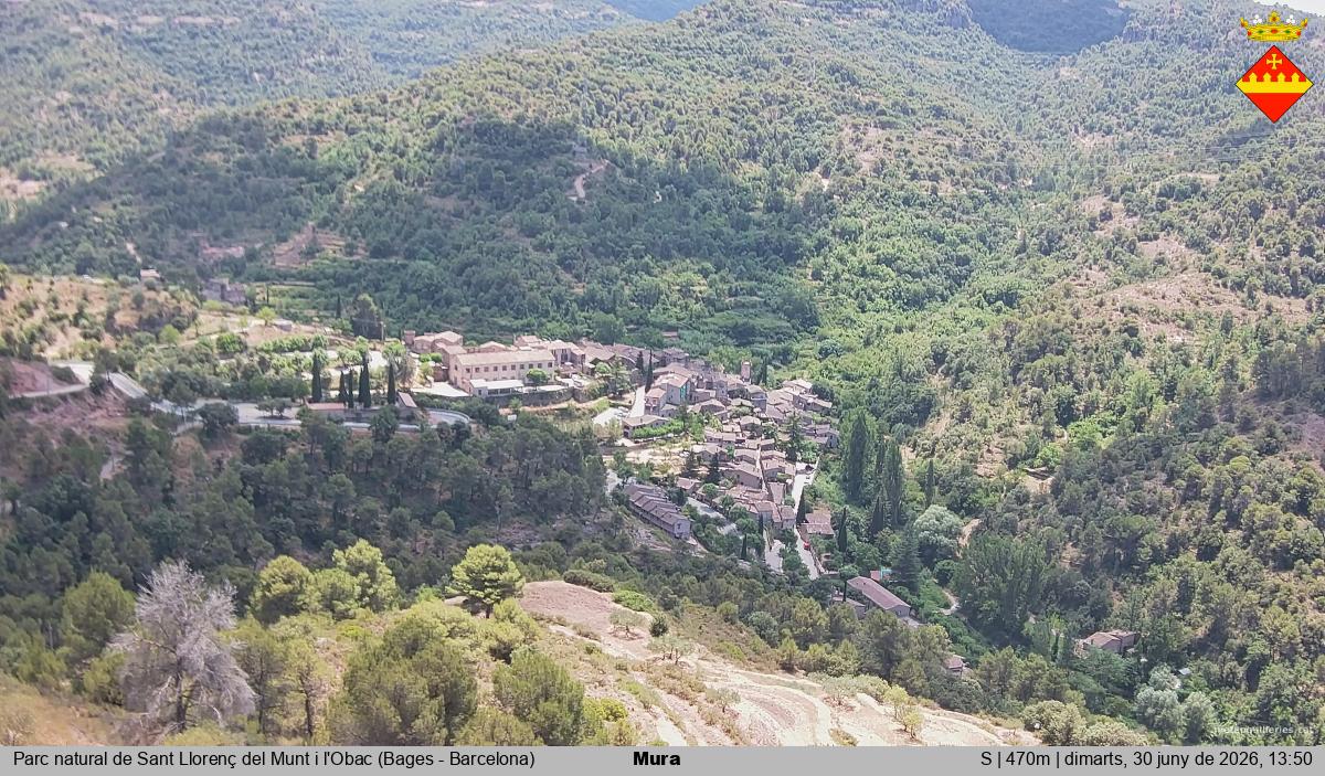 Mura 