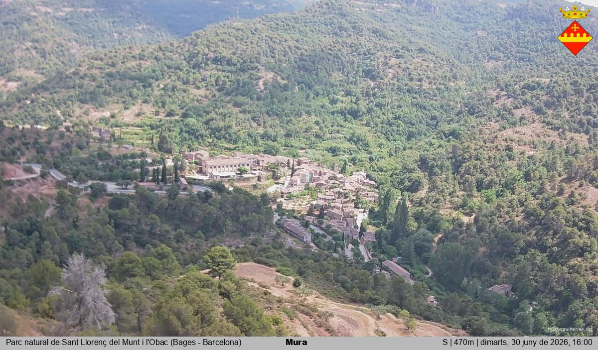 Mura 
