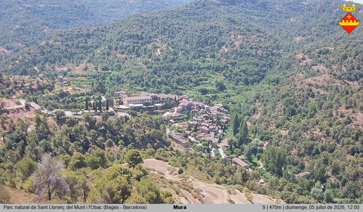 Mura 