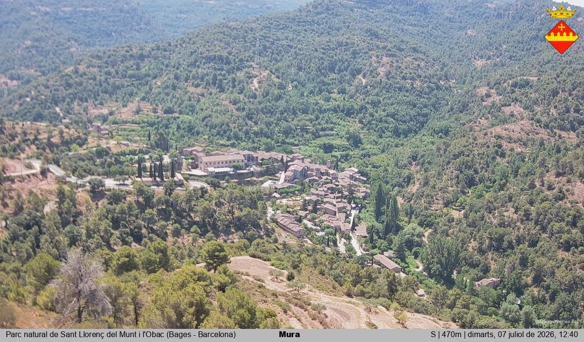 Mura 