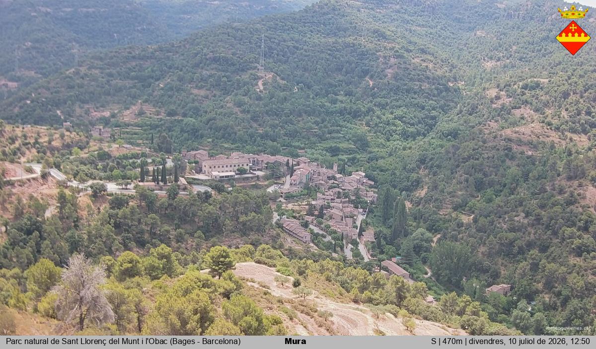 Mura 