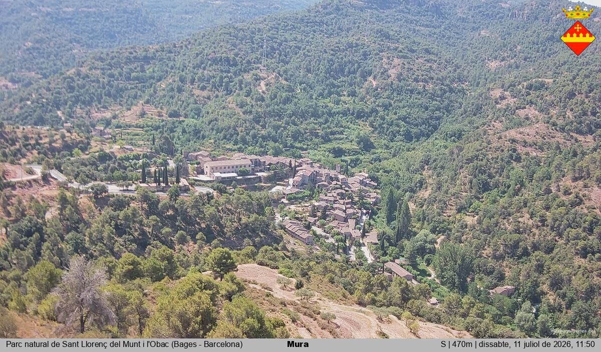Mura 