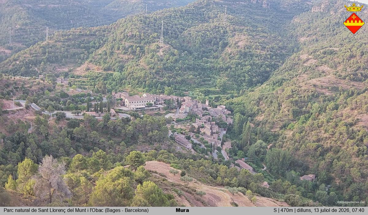 Mura 