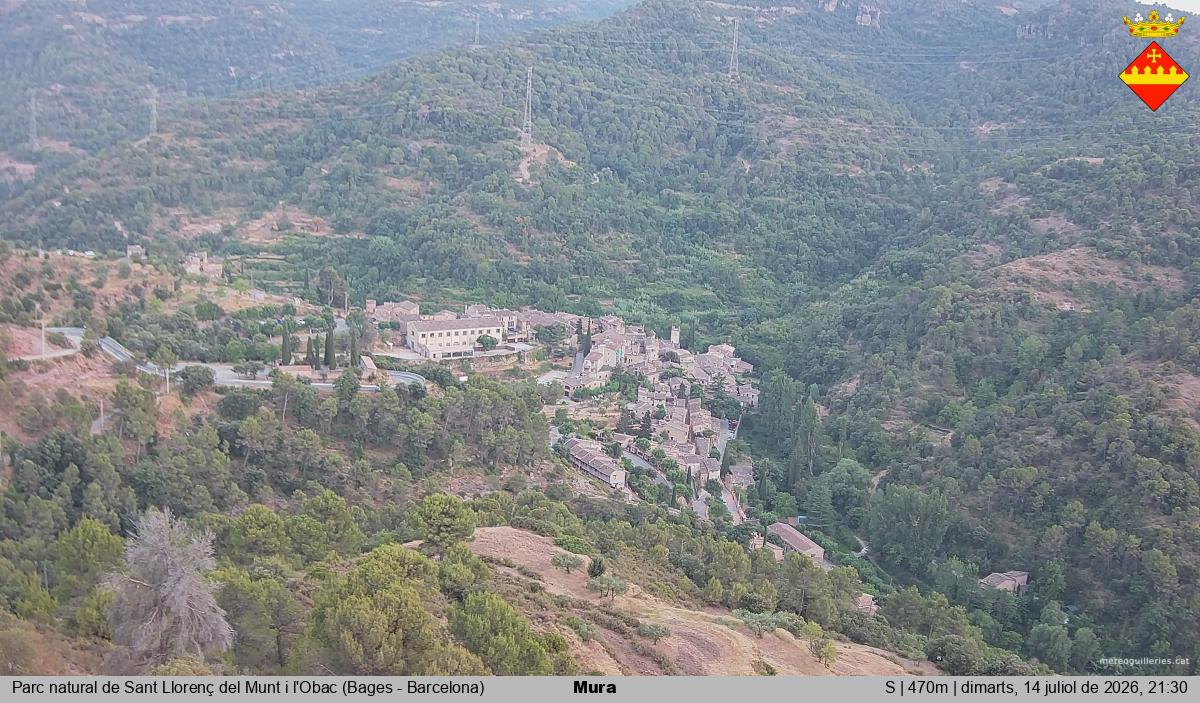 Mura 