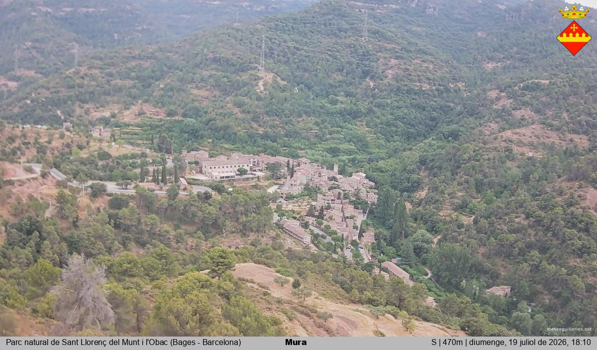 Mura 