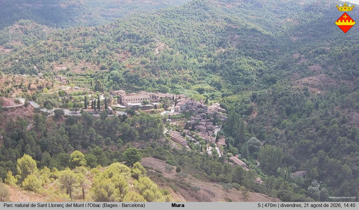 Mura 