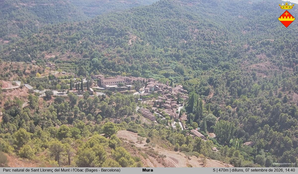 Mura 