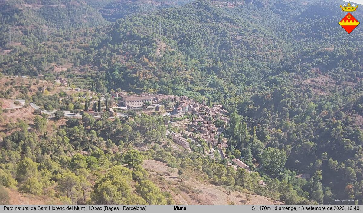 Mura 
