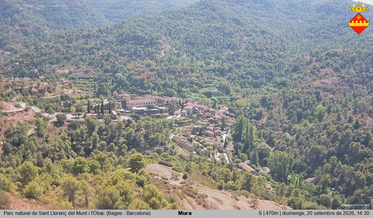 Mura 