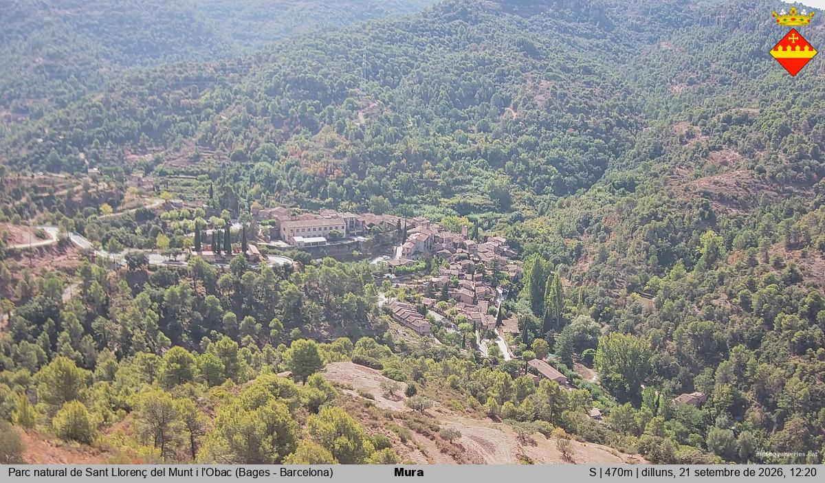 Mura 