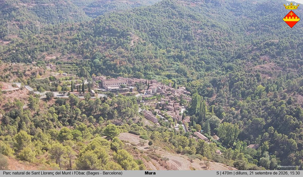Mura 
