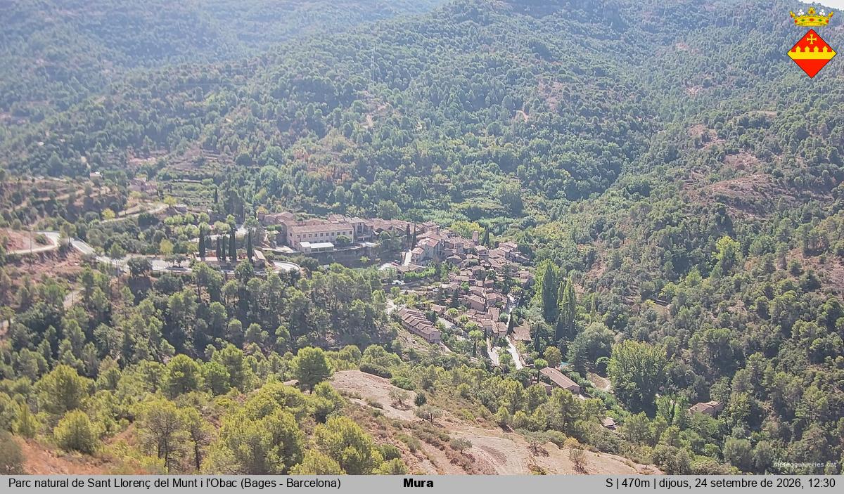 Mura 