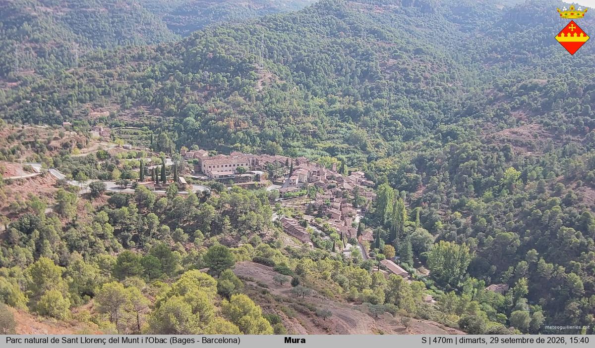 Mura 