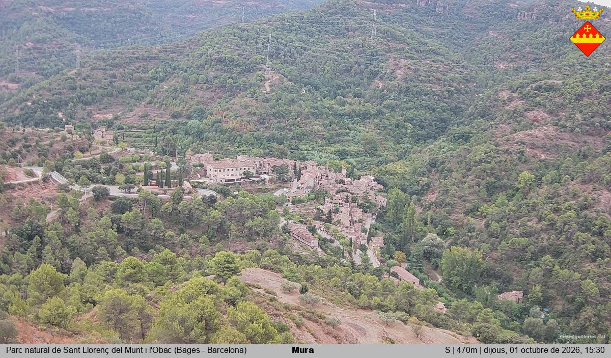 Mura 