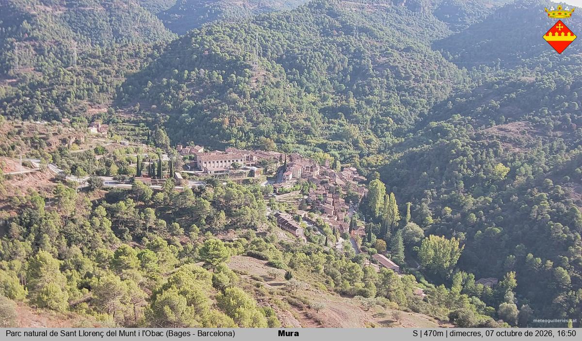 Mura 