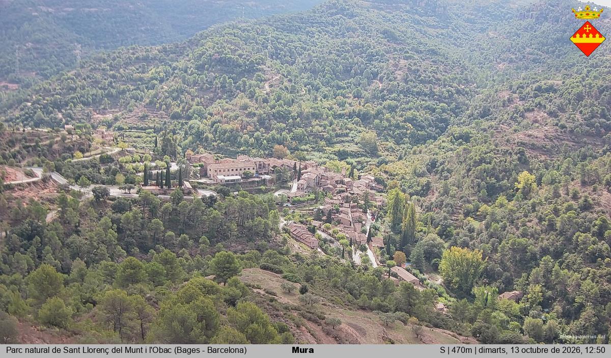 Mura 