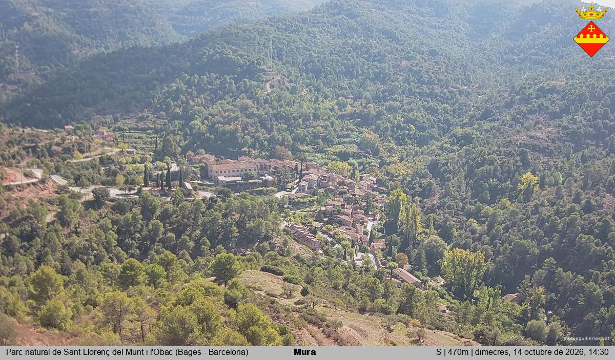 Mura 
