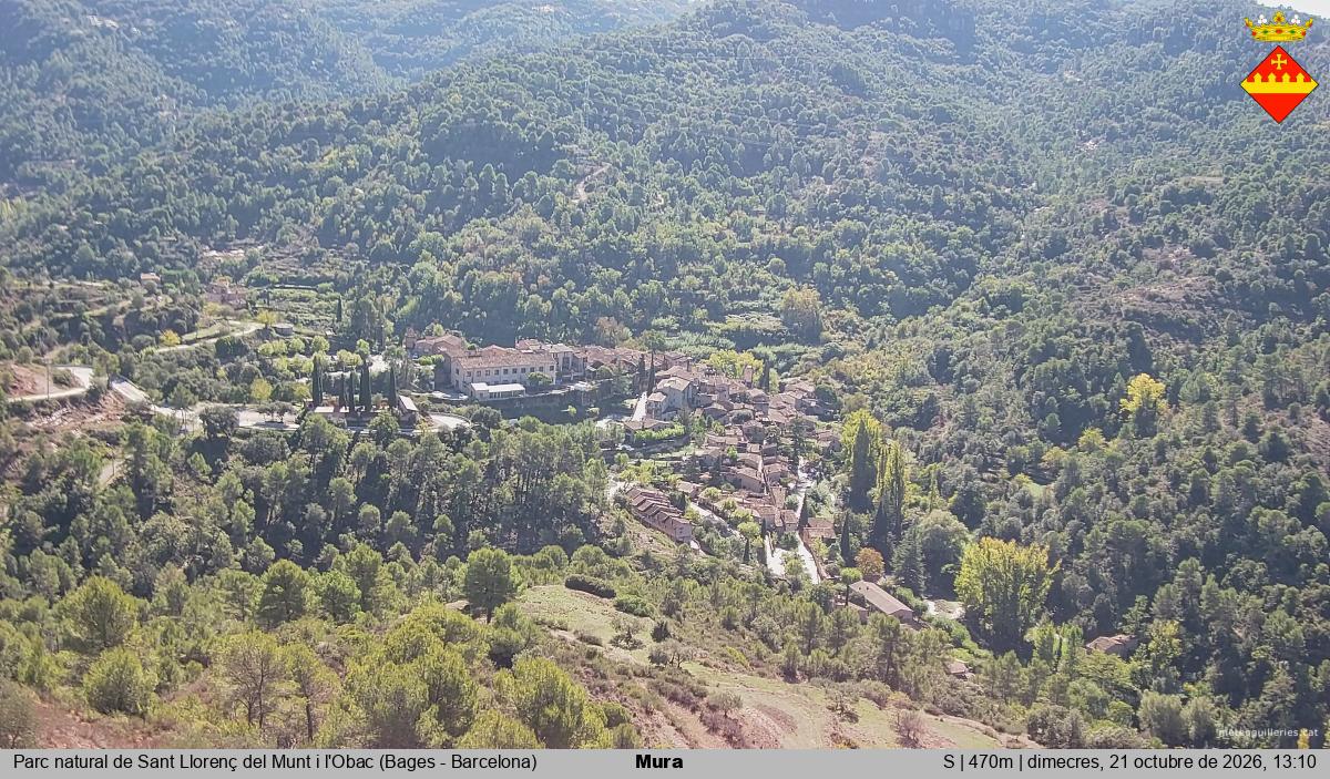 Mura 