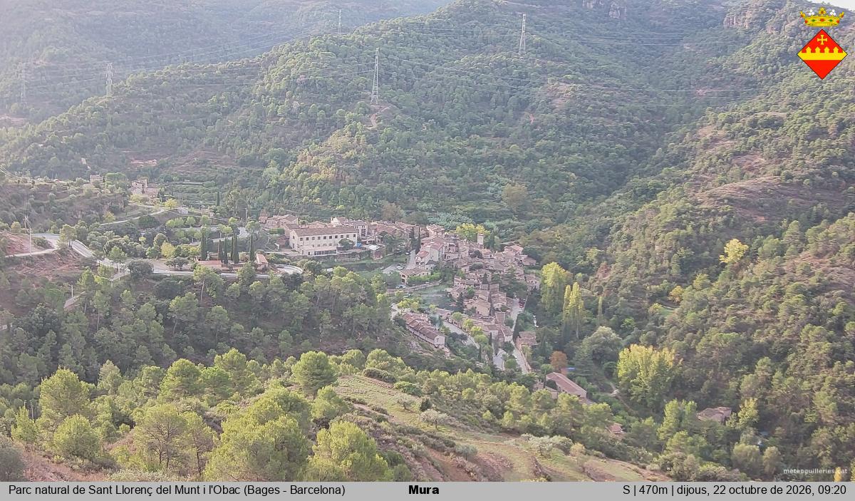 Mura 