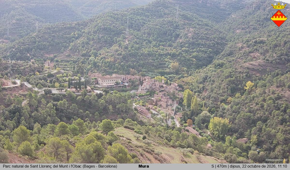 Mura 