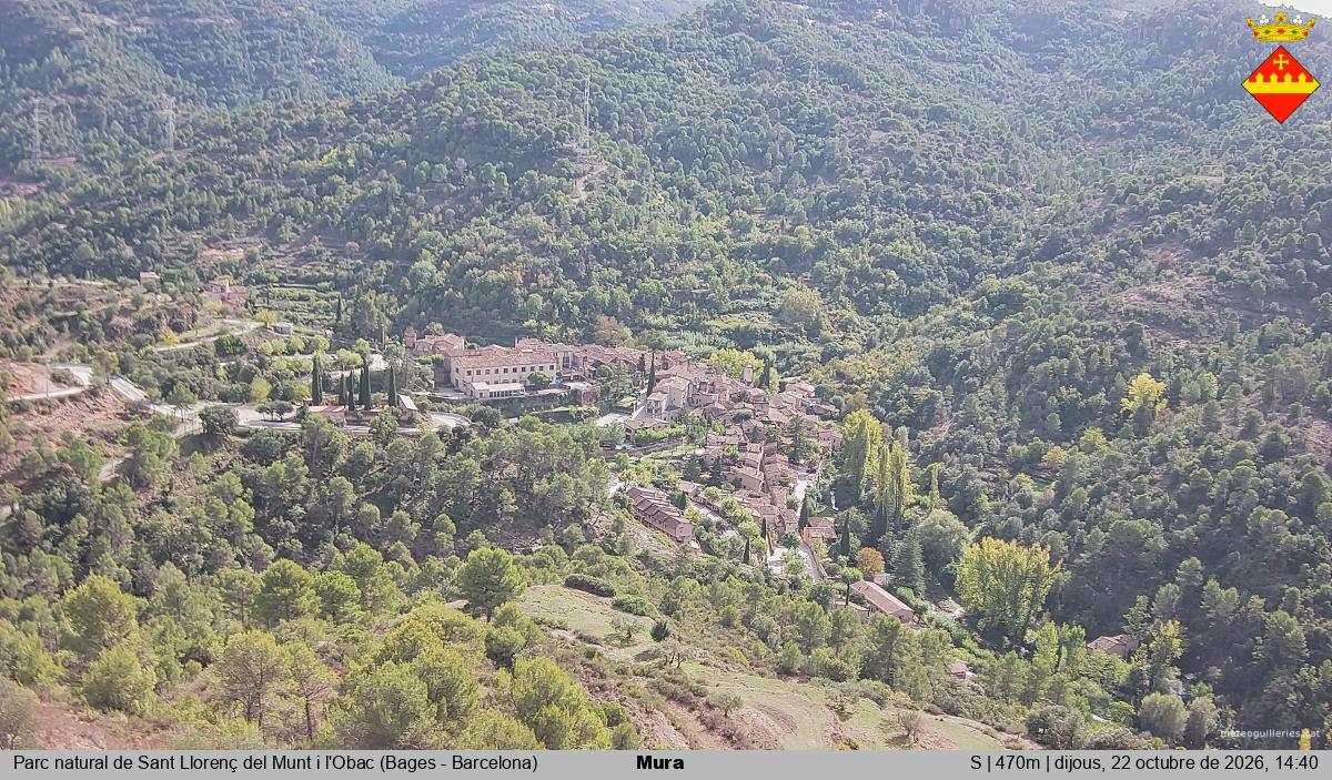 Mura 