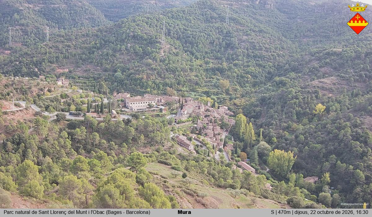 Mura 