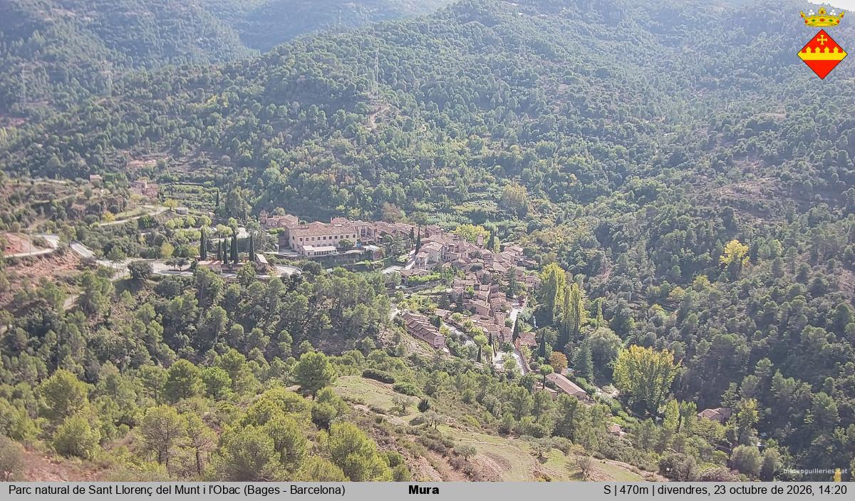 Mura 