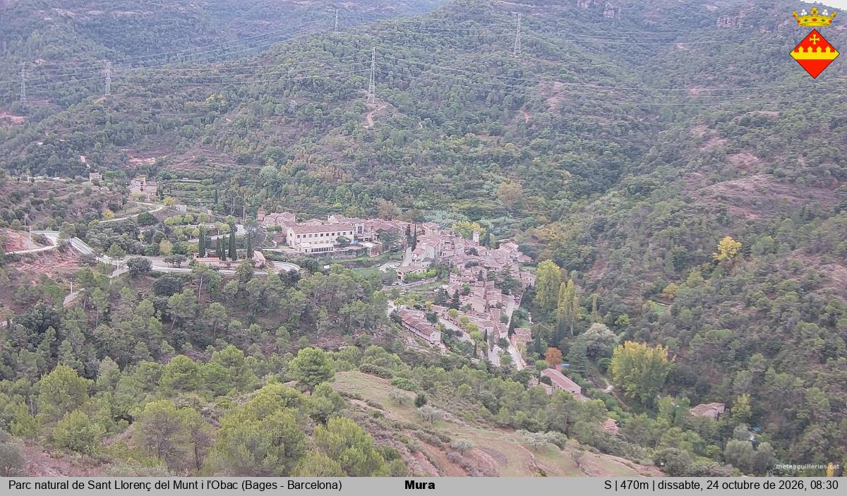 Mura 