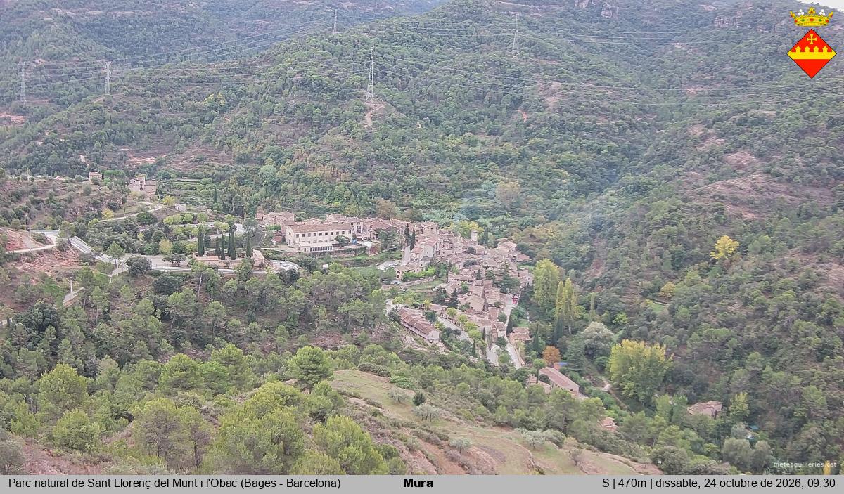 Mura 