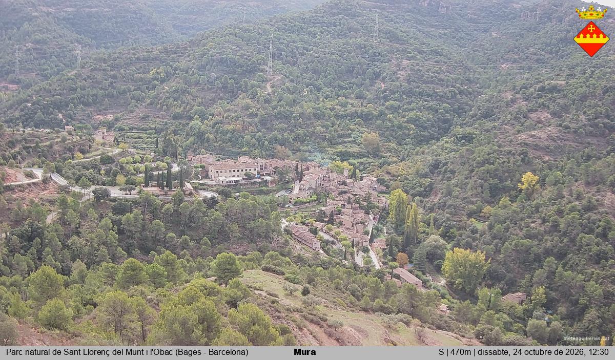 Mura 