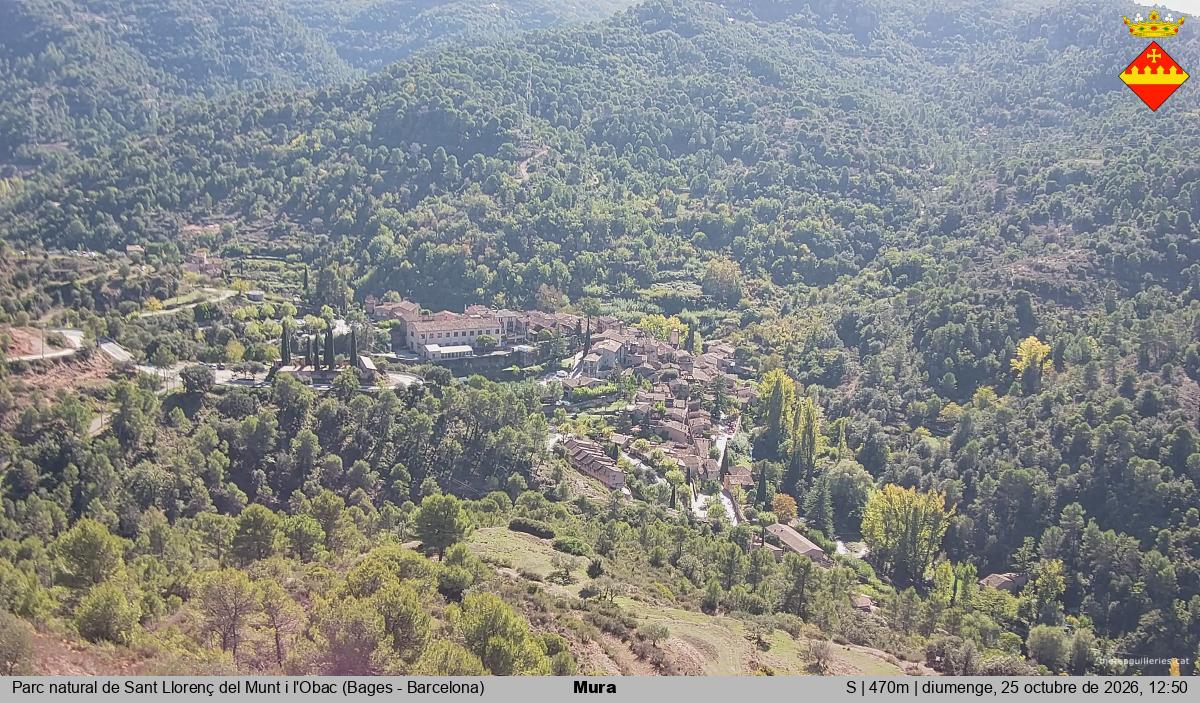 Mura 