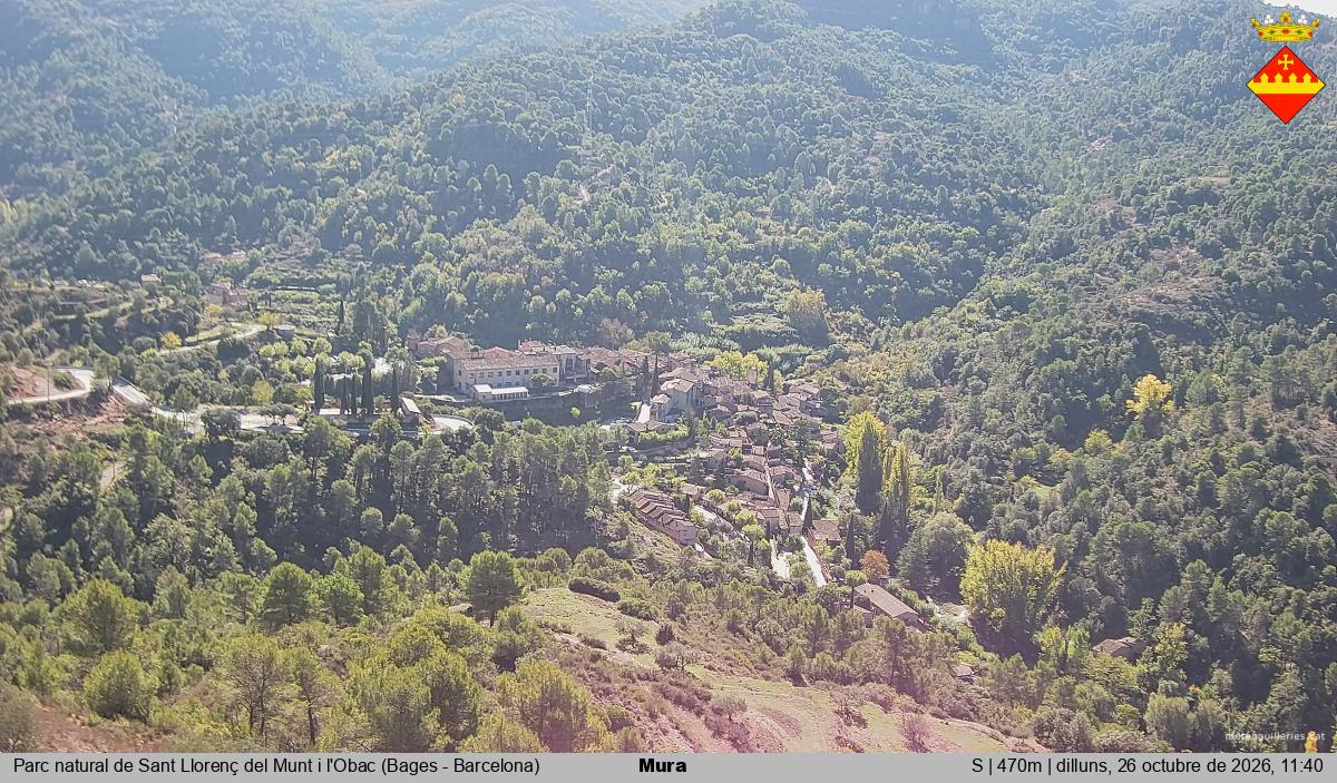 Mura 