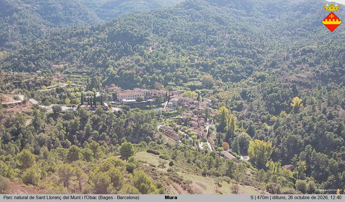 Mura 