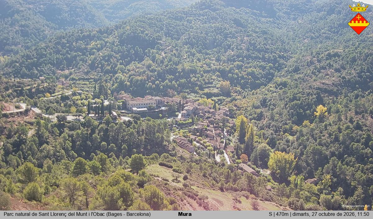 Mura 