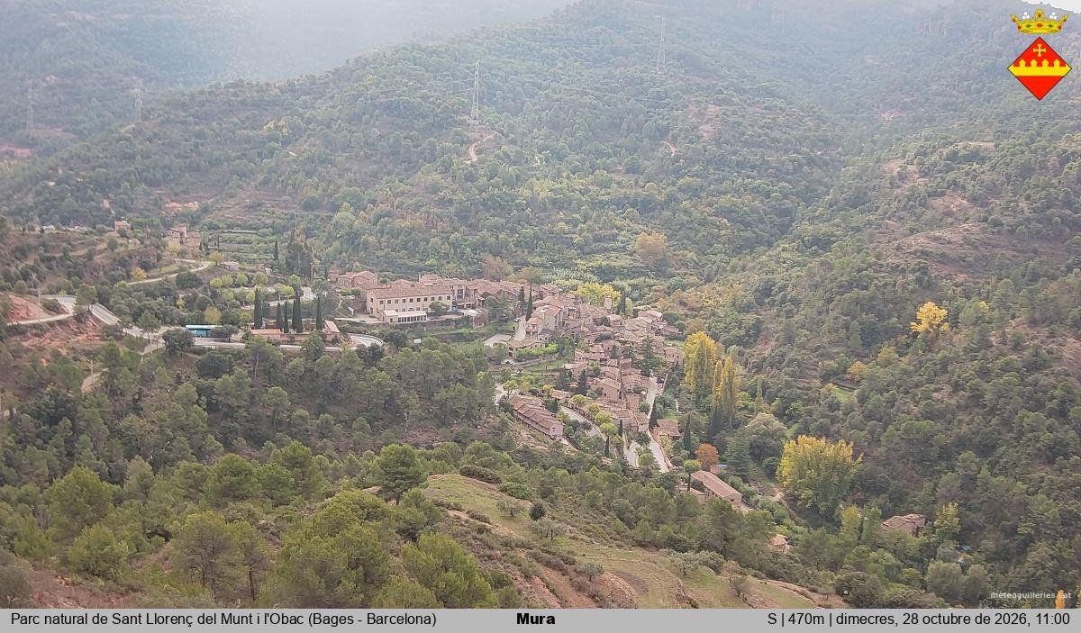 Mura 