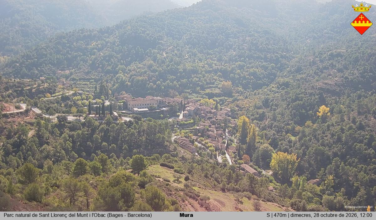 Mura 