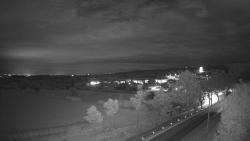 Webcams