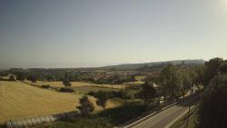 Webcams