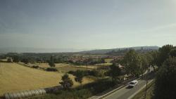 Webcams