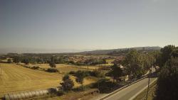 Webcams