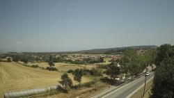 Webcams