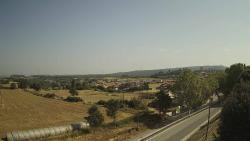 Webcams