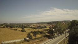 Webcams